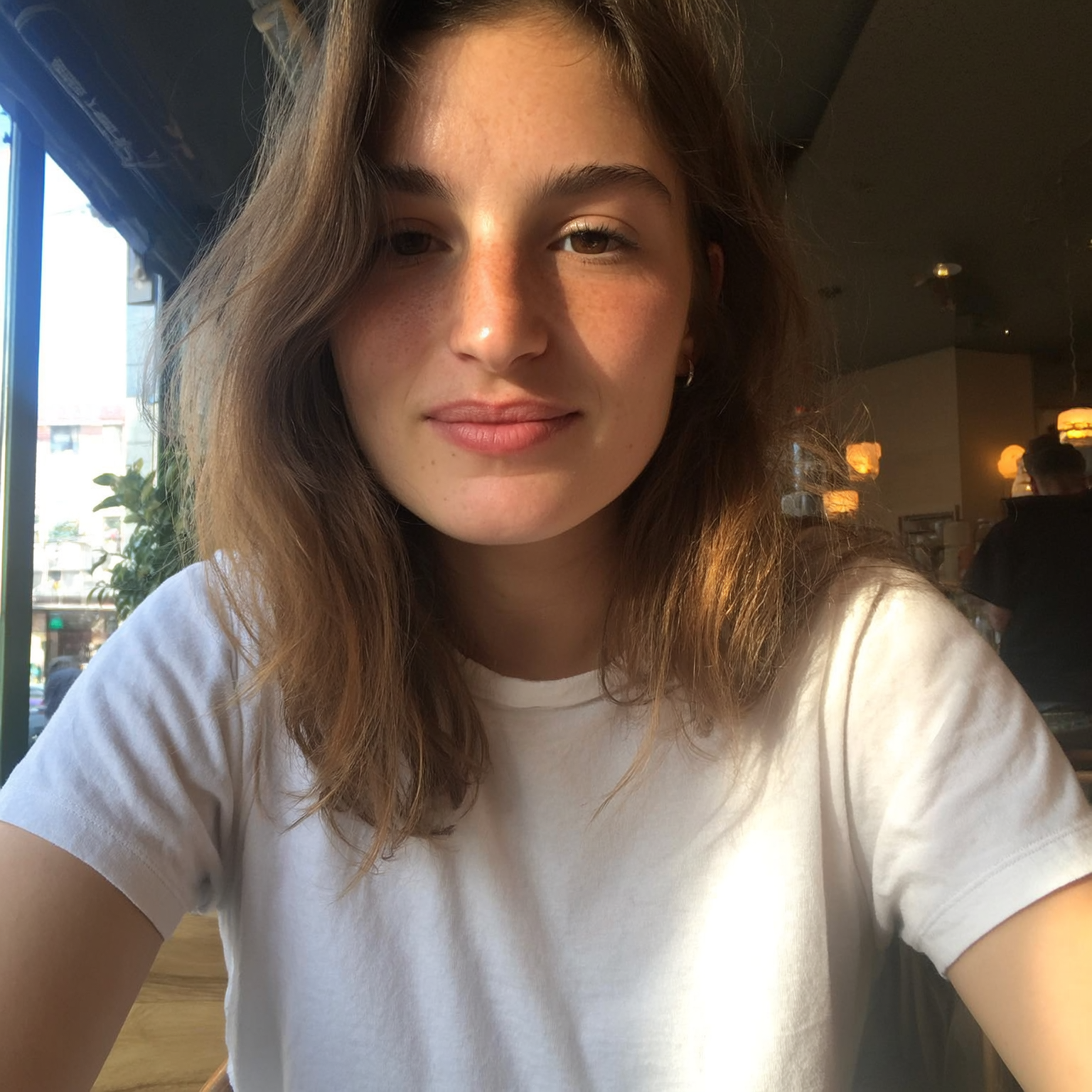 files/hf_20260217_162807_d9e94935-7bd0-4ceb-9b88-6f5212be9621_1.png
